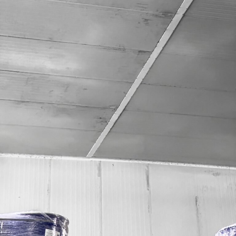 great-food-square11-compressed